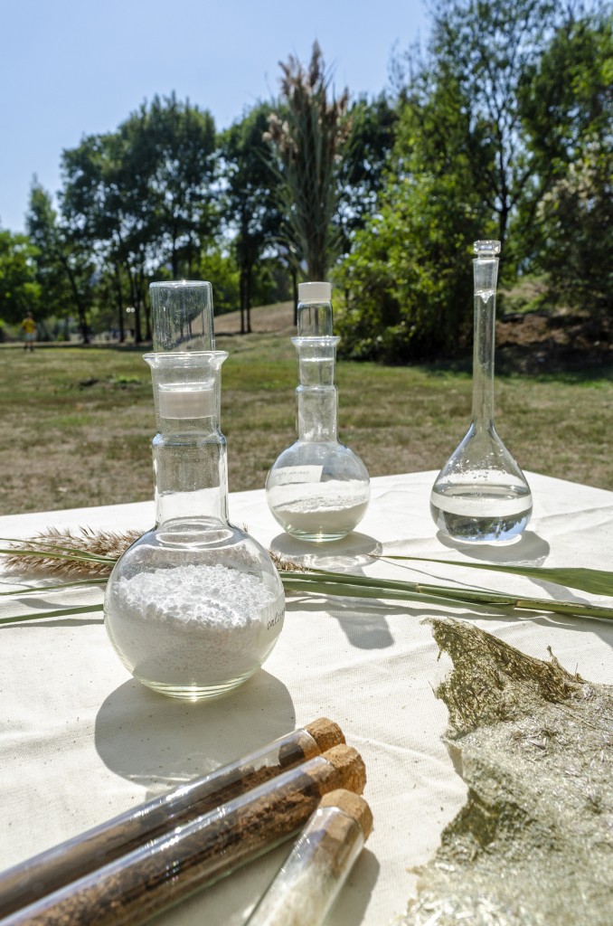 07 Paradise Marsh Maria Nalbantova work in progress reed material